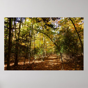 Greenbelt Park i Fall I Maryland Ligcape Poster
