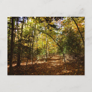 Greenbelt Park i Fall I Maryland Ligcape Vykort