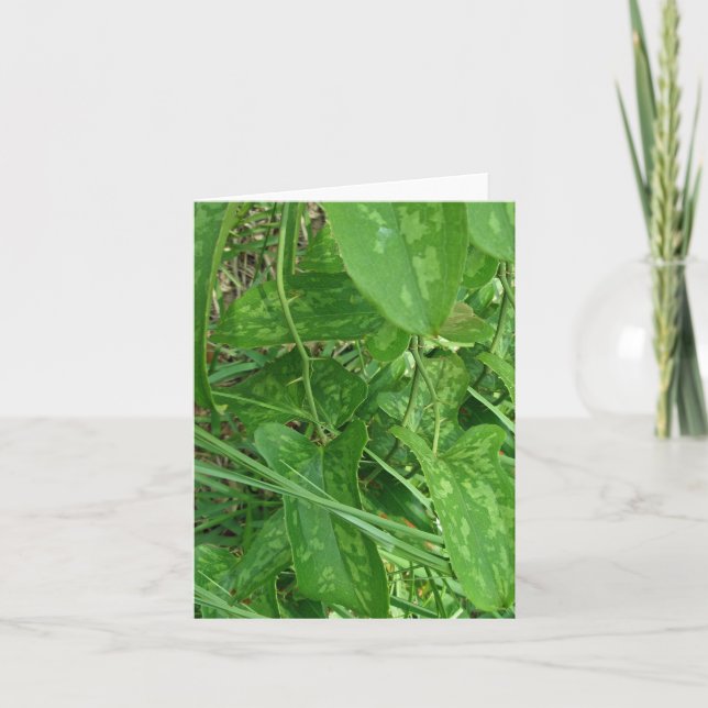 Greenbriar (milax)-vykort kort (Framsida)