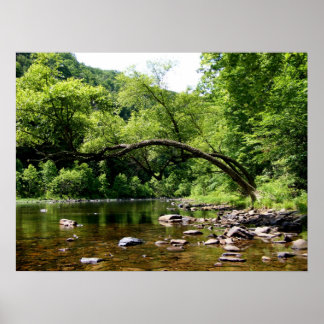 Greenbrierfloden, WV Poster