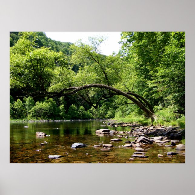 Greenbrierfloden, WV Poster (Framsidan)