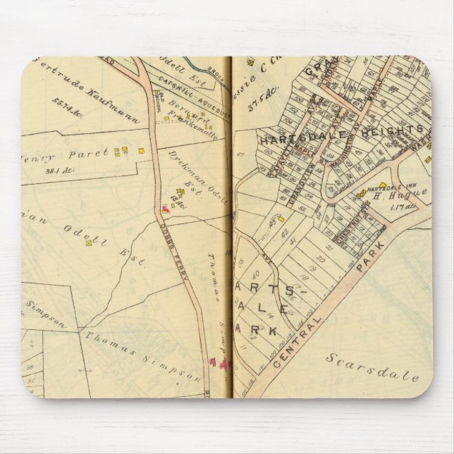 Greenburg, New York 3 Musmatta (Framsidan)