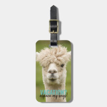Greenery Helgdag Vacation Alpaca