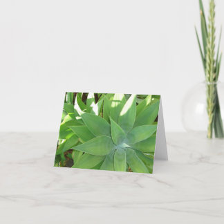 Greenery Kort