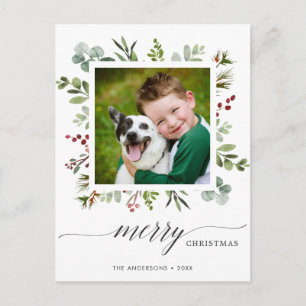 Greenery Red Berries Helgdag Photo Postcard Helg Vykort