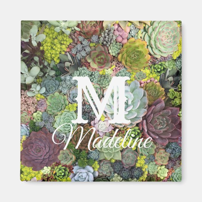 Greenery Succulents Magnet (Framsidan)