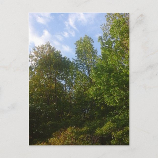 Greenery Vykort (Framsida)