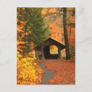Greenfield Pumping Station Covered Bridge Vykort