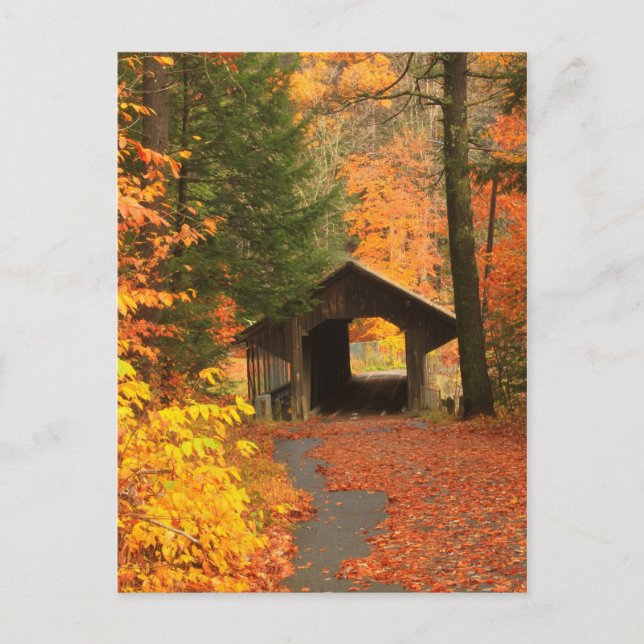 Greenfield Pumping Station Covered Bridge Vykort (Framsida)