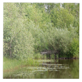 Greenhill Pond Kakelplatta