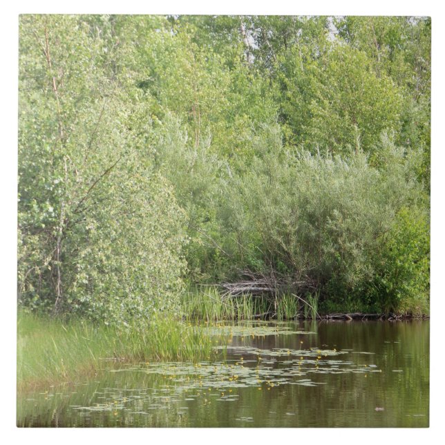Greenhill Pond Kakelplatta (Framsidan)
