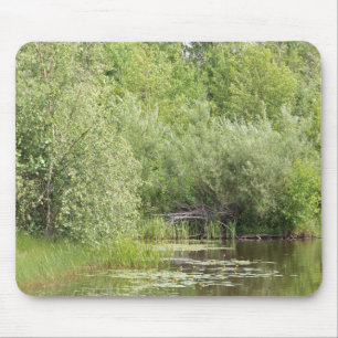 Greenhill Pond Musmatta