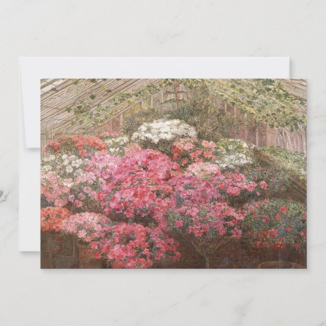 Greenhouse Azaleas | Marie Antoinette Marcotte (Framsida)