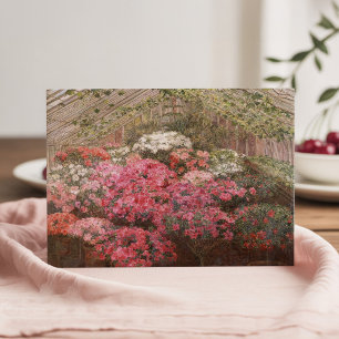 Greenhouse Azaleas Marie Antoinette Marcotte Kort