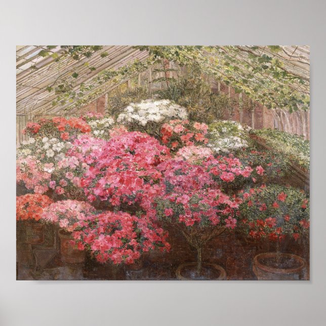 Greenhouse Azaleas | Marie Antoinette Marcotte Poster (Framsidan)