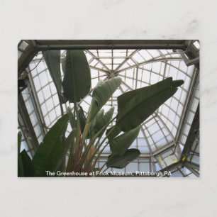 Greenhouse på Frick Museum, Pittsburgh PA Vykort