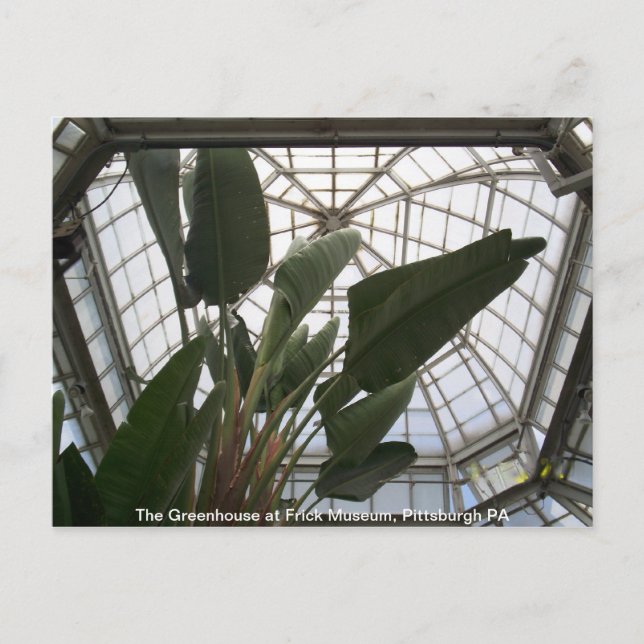 Greenhouse på Frick Museum, Pittsburgh PA Vykort (Framsida)