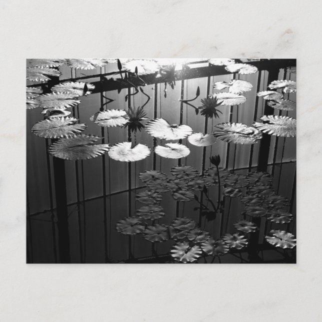 Greenhouse: Shinjuku Gyoen, Tokyo Vykort (Framsida)