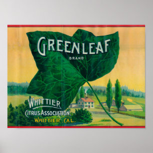 Greenleaf citron LabelWhittier, CA Poster