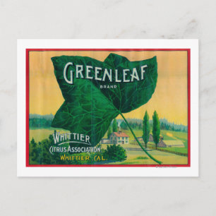 Greenleaf Lemon LabelWhittier, CA Vykort
