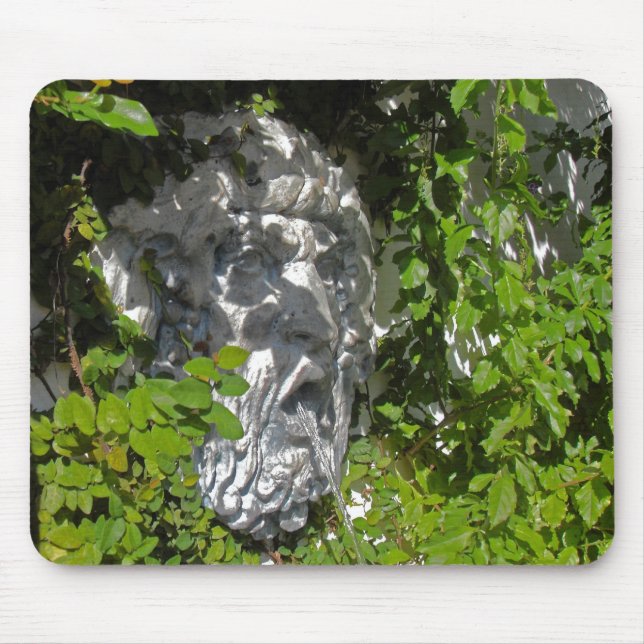 GreenMan Musmatta (Framsidan)