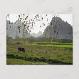 ©Greenness Kodbete,Guilin Guangxi,China Vykort