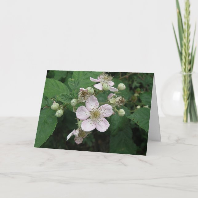 Greeting Card-Anpassningsbar för Blackberry Flower Kort (Framsida)