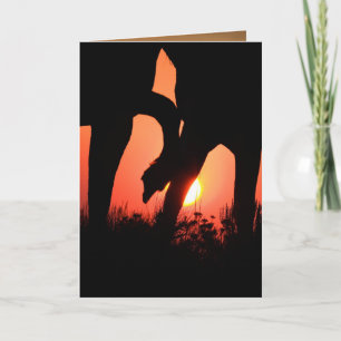 Greeting Card för Dawn Touch Vild Horse Kort