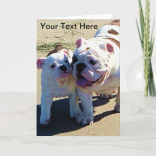 Greeting Card för engelska bullhundar Kort