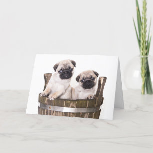 Greeting Card för Hund av uppvalsdockan grattis på Kort