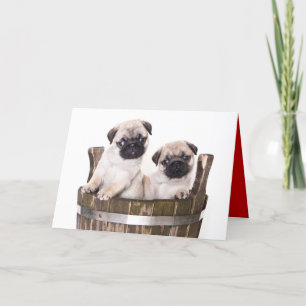 Greeting Card för Hund av uppvalsdockan grattis på Kort