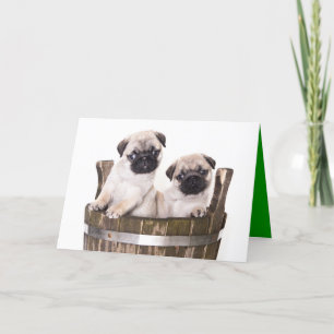 Greeting Card för Hund av uppvalsdockan grattis på Kort