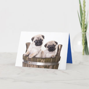 Greeting Card för Hund av uppvalsdockan grattis på Kort