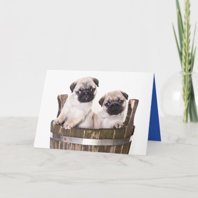 Greeting Card för Hund av uppvalsdockan grattis på Kort (Framsida)