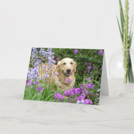 Greeting Card Golden Retriever in Flowers Kort