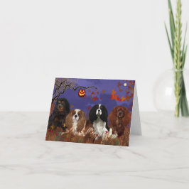 Greeting Card, Kung Charles Cavalier Spain Kort