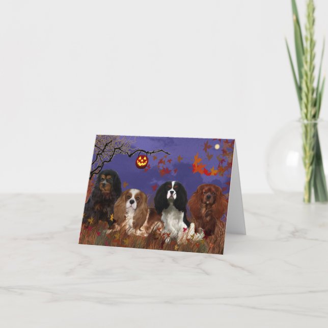 Greeting Card, Kung Charles Cavalier Spain Kort (Framsida)