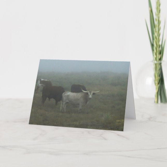Greeting Card "Longhorns in the Fog" (blank inside Kort (Framsida)