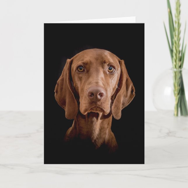 Greeting Card  "Magyar Vizsla" Kort (Framsida)