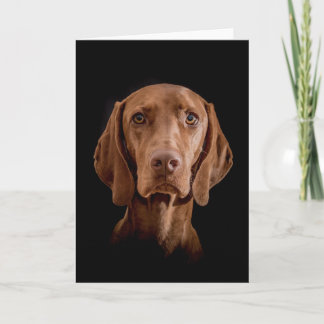 Greeting Card "Magyar Vizsla" Kort