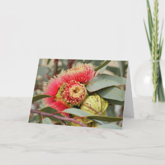 GREETING CARD - Native Australian Eucalyptus Kort