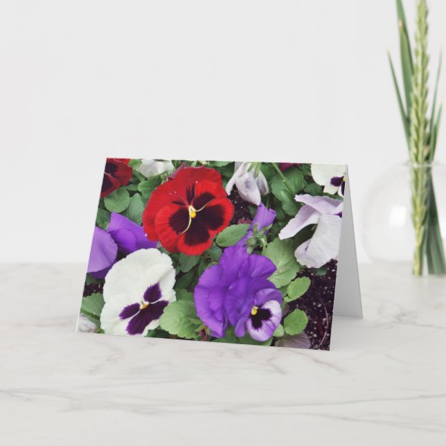 GREETING CARD: Pansies Kort (Framsida)