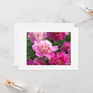Greeting card with beautiful peonies kort