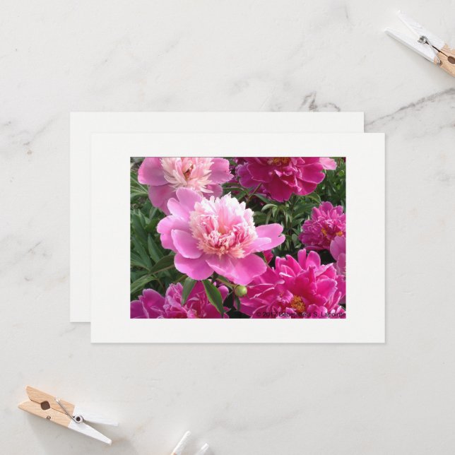 Greeting card with beautiful peonies kort (Fram/Back In Situ)