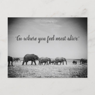 Greetingkort för Elefantgenerationer Vykort