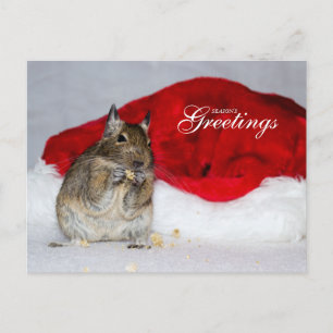 Greetings för Degu & Santa Hat Season Helg Vykort