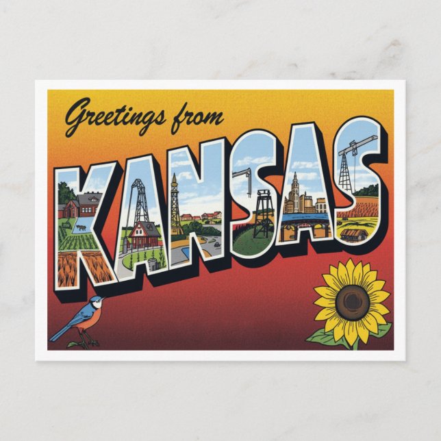 Greetings from Kansas Sunflower Vykort (Framsida)