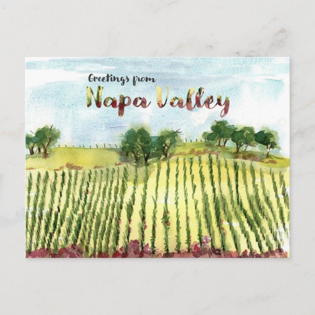 Greetings From Napa Valley Vineyard Hills Vykort (Framsida)