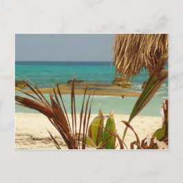 Greetings from Paradise! Vykort