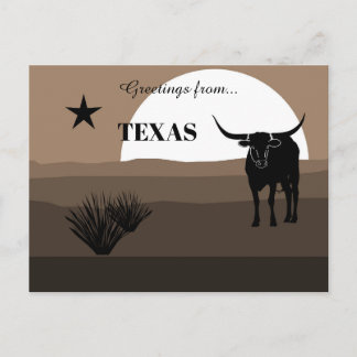 Greetings from Texas State Earth Tones Vykort